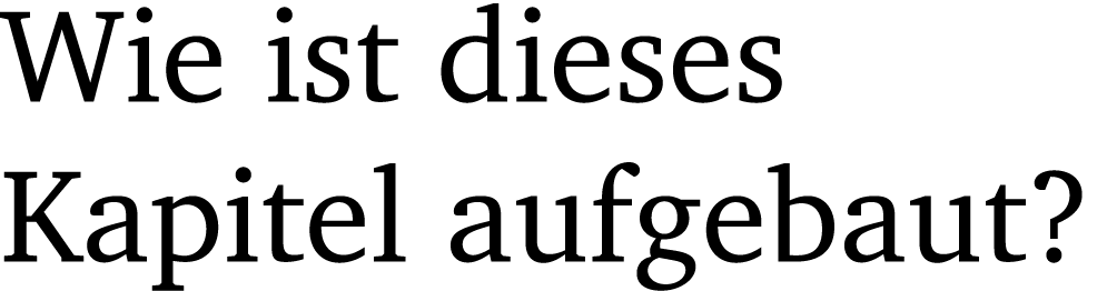 Wie ist dieses Kapitel aufgebaut?