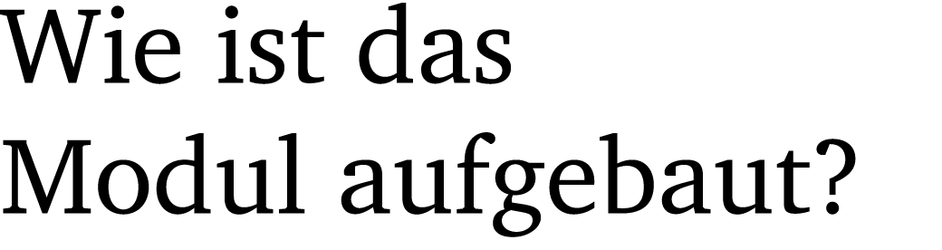 Wie ist das Modul aufgebaut?