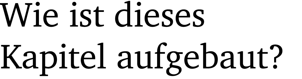 Wie ist dieses Kapitel aufgebaut?