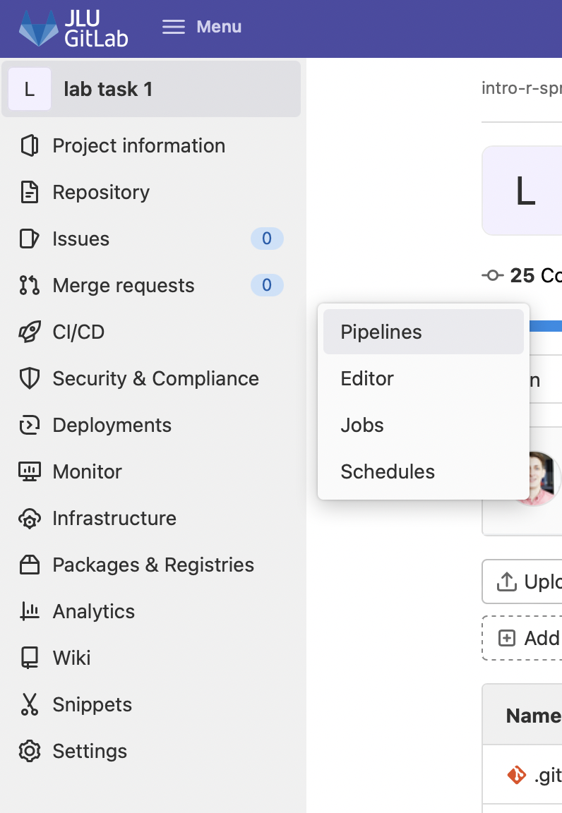 Gehe zu Pipelines