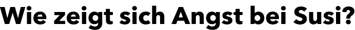 Wie zeigt sich Angst bei Susi?