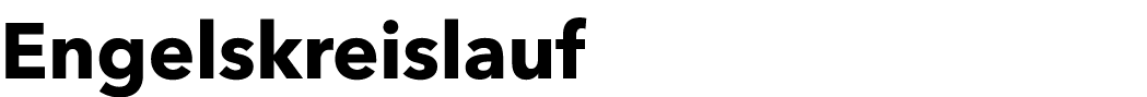 Engelskreislauf