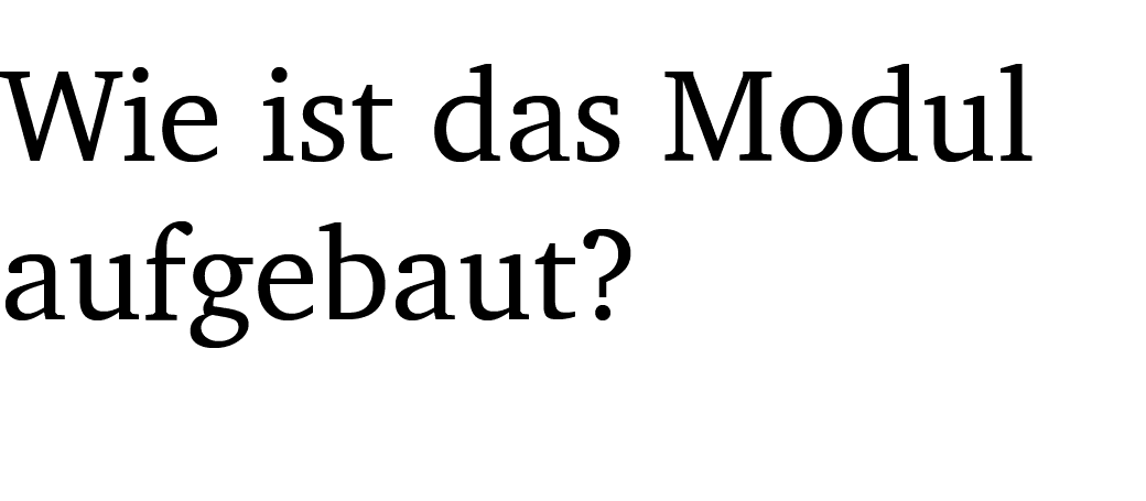 Wie ist das Modul aufgebaut?