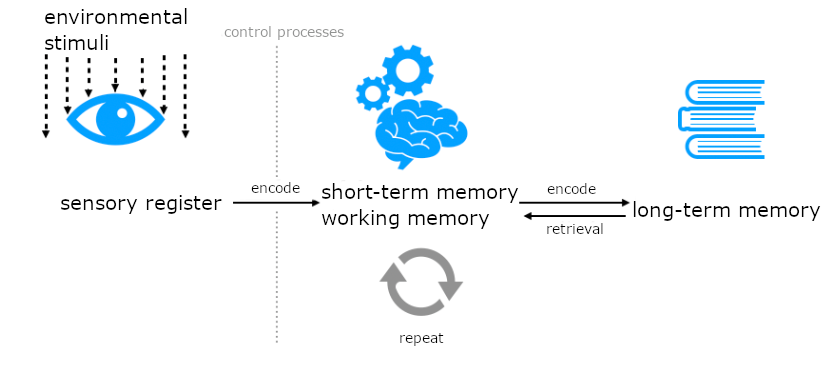Dieses Schaubild zeigt den Weg einer Information in das Langzeitgedächtnis. Der Weg beginnt mit Umwelteinflüssen, die auf den Begriff "sensorisches Register" treffen. Von dort geht ein Pfeil weiter zum Begriff "Kurzzeit-/ Arbeitsgedächtnis". Der Pfeil ist beschriftet mit dem Wort "enkodieren". Der Pfeil wird durch eine vertikale Linie unterbrochen, die mit dem Wort "Kontrollprozesse" beschriftet ist. 
Unter dem Kurzzeit-/ Arbeitsgedächtnis steht "Wiederholen". Vom Kurzzeit-/ Arbeitsgedächtnis führt ein neuer Pfeil weiter zum Begriff "Langzeitgedächtnis. Auf dem Pfeil steht "enkodieren". Ein dritter Pfeil zeigt vom Langzeitgedächtnis zurück zum Kurzzeit-/ Arbeitsgedächtnis. Er ist beschriftet mit "Abruf".