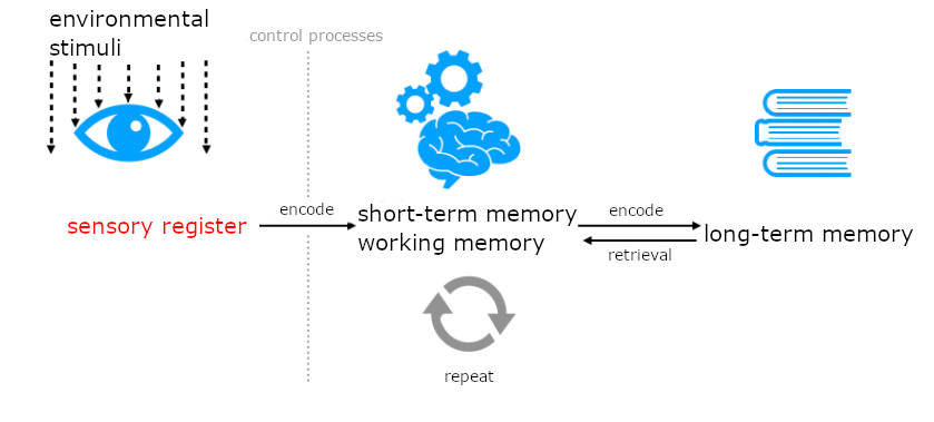 Dieses Schaubild zeigt den Weg einer Information in das Langzeitgedächtnis. Der Weg beginnt mit Umwelteinflüssen, die auf den Begriff "sensorisches Register" treffen. Von dort geht ein Pfeil weiter zum Begriff "Kurzzeit-/ Arbeitsgedächtnis". Der Pfeil ist beschriftet mit dem Wort "enkodieren". Der Pfeil wird durch eine vertikale Linie unterbrochen, die mit dem Wort "Kontrollprozesse" beschriftet ist. 
Unter dem Kurzzeit-/ Arbeitsgedächtnis steht "Wiederholen". Vom Kurzzeit-/ Arbeitsgedächtnis führt ein neuer Pfeil weiter zum Begriff "Langzeitgedächtnis. Auf dem Pfeil steht "enkodieren". Ein dritter Pfeil zeigt vom Langzeitgedächtnis zurück zum Kurzzeit-/ Arbeitsgedächtnis. Er ist beschriftet mit "Abruf".