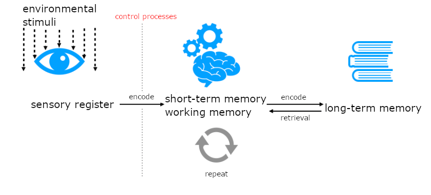 Dieses Schaubild zeigt den Weg einer Information in das Langzeitgedächtnis. Der Weg beginnt mit Umwelteinflüssen, die auf den Begriff "sensorisches Register" treffen. Von dort geht ein Pfeil weiter zum Begriff "Kurzzeit-/ Arbeitsgedächtnis". Der Pfeil ist beschriftet mit dem Wort "enkodieren". Der Pfeil wird durch eine vertikale Linie unterbrochen, die mit dem Wort "Kontrollprozesse" beschriftet ist.
Unter dem Kurzzeit-/ Arbeitsgedächtnis steht "Wiederholen". Vom Kurzzeit-/ Arbeitsgedächtnis führt ein neuer Pfeil weiter zum Begriff "Langzeitgedächtnis. Auf dem Pfeil steht "enkodieren". Ein dritter Pfeil zeigt vom Langzeitgedächtnis zurück zum Kurzzeit-/ Arbeitsgedächtnis. Er ist beschriftet mit "Abruf".