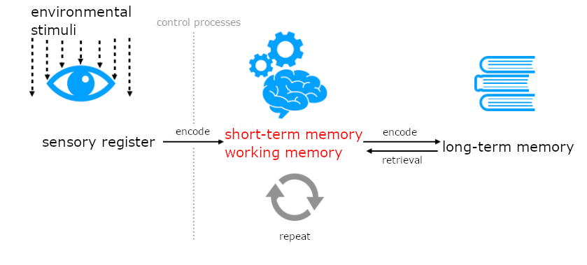 Dieses Schaubild zeigt den Weg einer Information in das Langzeitgedächtnis. Der Weg beginnt mit Umwelteinflüssen, die auf den Begriff "sensorisches Register" treffen. Von dort geht ein Pfeil weiter zum Begriff "Kurzzeit-/ Arbeitsgedächtnis". Der Pfeil ist beschriftet mit dem Wort "enkodieren". Der Pfeil wird durch eine vertikale Linie unterbrochen, die mit dem Wort "Kontrollprozesse" beschriftet ist. 
Unter dem Kurzzeit-/ Arbeitsgedächtnis steht "Wiederholen". Vom Kurzzeit-/ Arbeitsgedächtnis führt ein neuer Pfeil weiter zum Begriff "Langzeitgedächtnis. Auf dem Pfeil steht "enkodieren". Ein dritter Pfeil zeigt vom Langzeitgedächtnis zurück zum Kurzzeit-/ Arbeitsgedächtnis. Er ist beschriftet mit "Abruf".