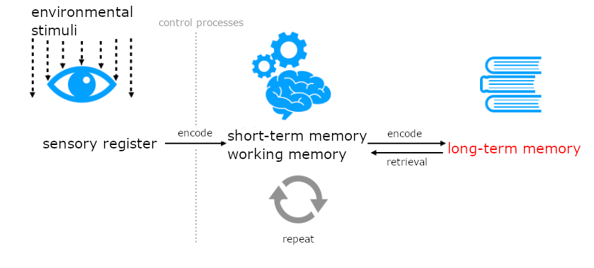 Dieses Schaubild zeigt den Weg einer Information in das Langzeitgedächtnis. Der Weg beginnt mit Umwelteinflüssen, die auf den Begriff "sensorisches Register" treffen. Von dort geht ein Pfeil weiter zum Begriff "Kurzzeit-/ Arbeitsgedächtnis". Der Pfeil ist beschriftet mit dem Wort "enkodieren". Der Pfeil wird durch eine vertikale Linie unterbrochen, die mit dem Wort "Kontrollprozesse" beschriftet ist. 
Unter dem Kurzzeit-/ Arbeitsgedächtnis steht "Wiederholen". Vom Kurzzeit-/ Arbeitsgedächtnis führt ein neuer Pfeil weiter zum Begriff "Langzeitgedächtnis. Auf dem Pfeil steht "enkodieren". Ein dritter Pfeil zeigt vom Langzeitgedächtnis zurück zum Kurzzeit-/ Arbeitsgedächtnis. Er ist beschriftet mit "Abruf".